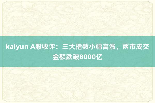 kaiyun A股收评：三大指数小幅高涨，两市成交金额跌破8000亿