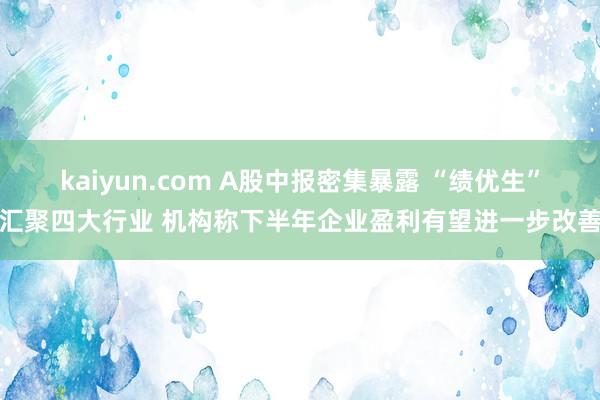 kaiyun.com A股中报密集暴露 “绩优生”汇聚四大行业 机构称下半年企业盈利有望进一步改善