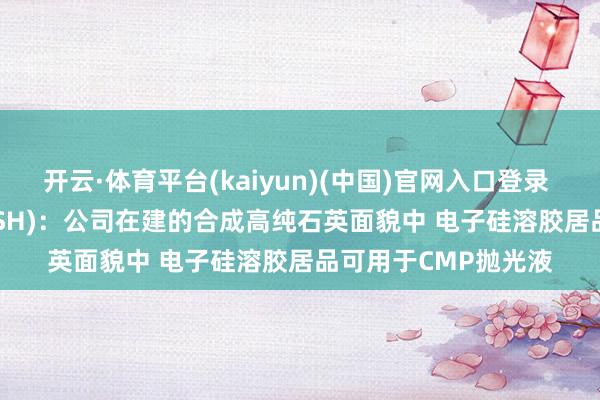 开云·体育平台(kaiyun)(中国)官网入口登录 凯盛科技(600552.SH)：公司在建的合成高纯石英面貌中 电子硅溶胶居品可用于CMP抛光液