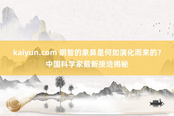 kaiyun.com 明智的象鼻是何如演化而来的？中国科学家最新接洽揭秘