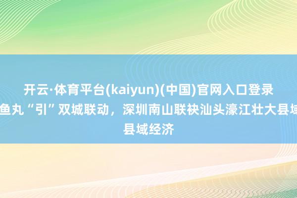 开云·体育平台(kaiyun)(中国)官网入口登录 一颗鱼丸“引”双城联动，深圳南山联袂汕头濠江壮大县域经济