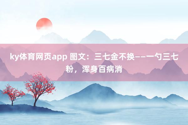 ky体育网页app 图文：三七金不换——一勺三七粉，浑身百病消