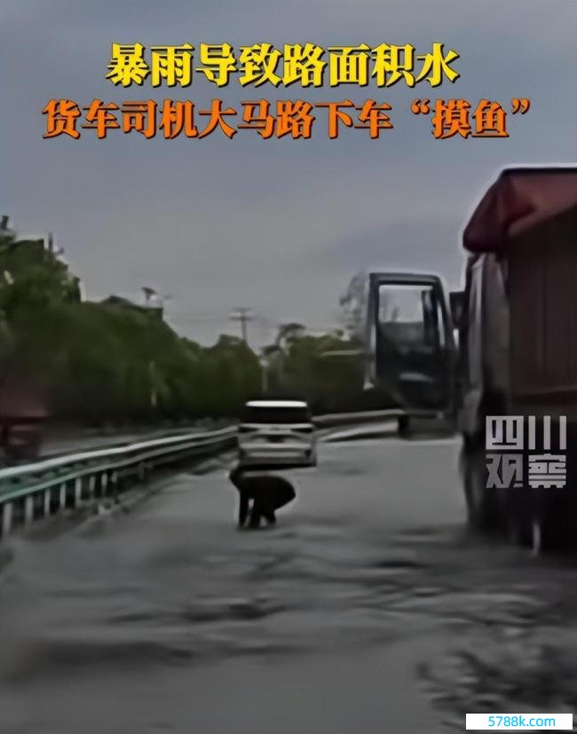 江西暴雨归并路面，途经司机跳下车捞鱼，伸手一把扎住拎走