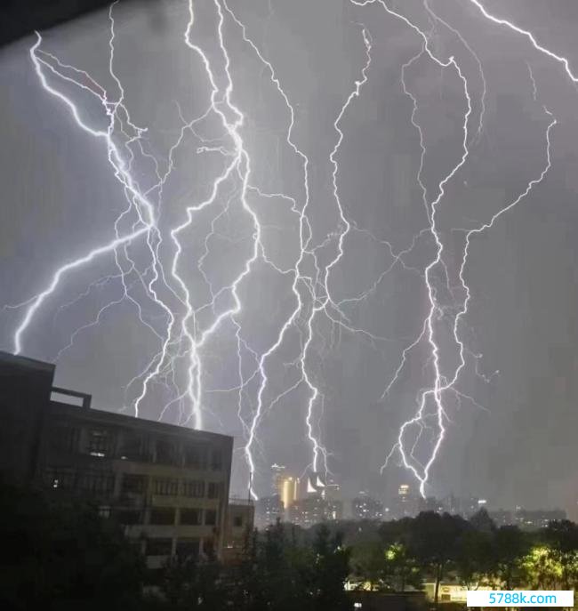 江西暴雨归并路面，途经司机跳下车捞鱼，伸手一把扎住拎走