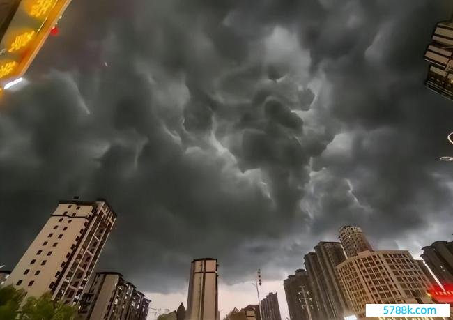 江西暴雨归并路面，途经司机跳下车捞鱼，伸手一把扎住拎走