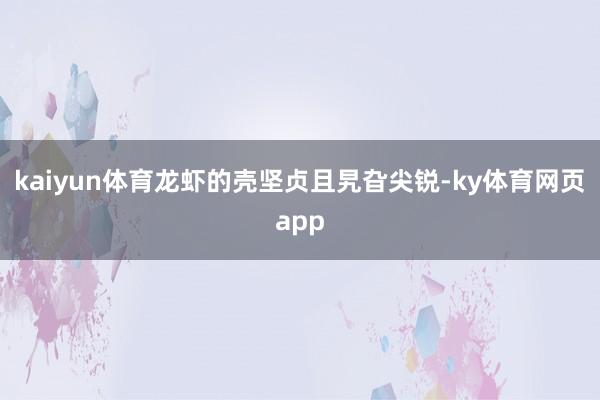 kaiyun体育龙虾的壳坚贞且旯旮尖锐-ky体育网页app